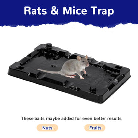Close-up of RAT SUPER adhesive glue for strong hold