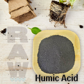 RAW Humic Acid treated plant leaves showing chlorophyll and growth potential.