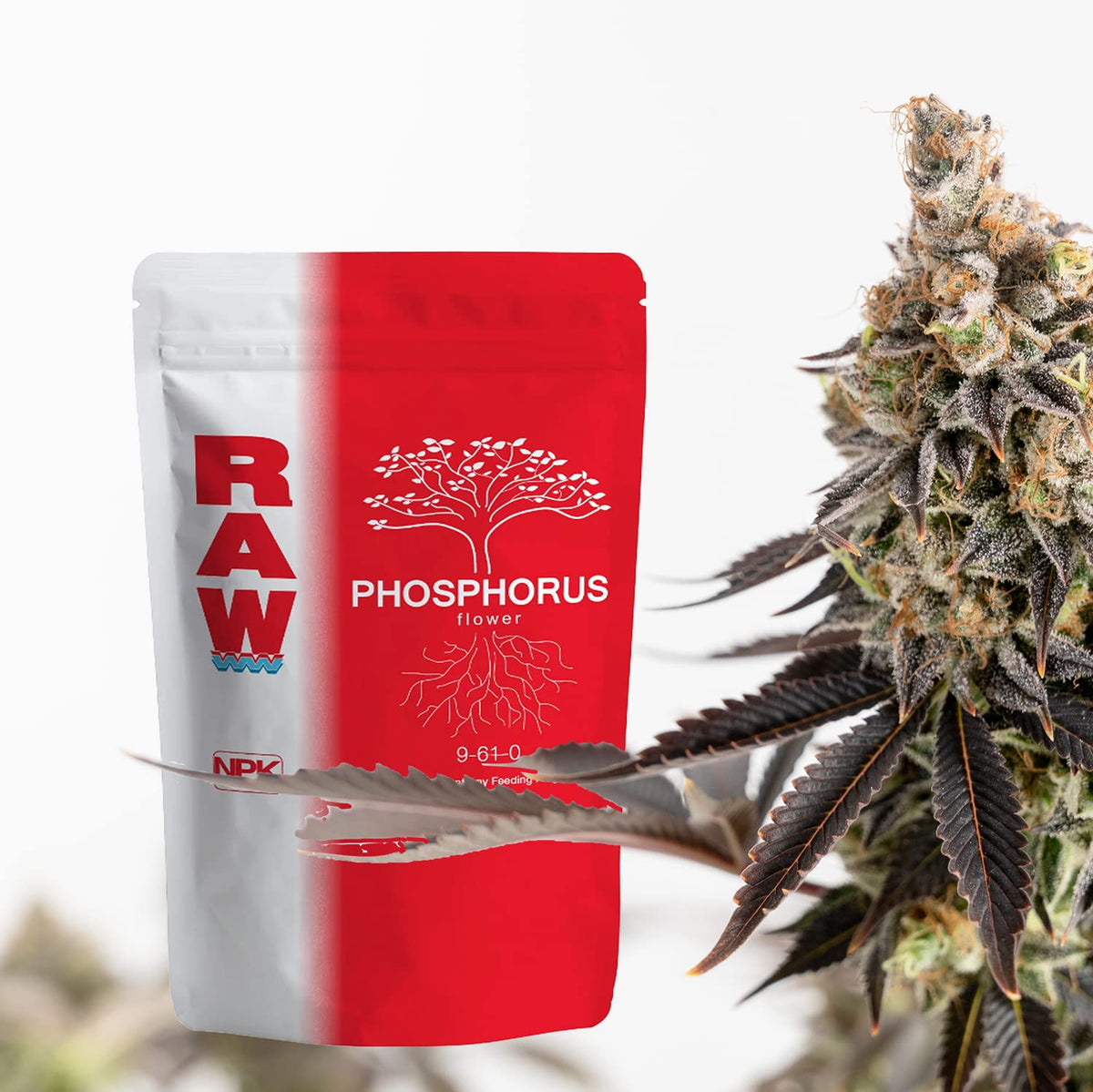 RAW Phosphorus 2oz dilution-mix demonstrating easy integration into root growth