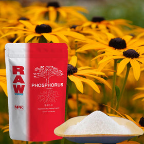 RAW Phosphorus 2oz measuring spoon for precise dosing
