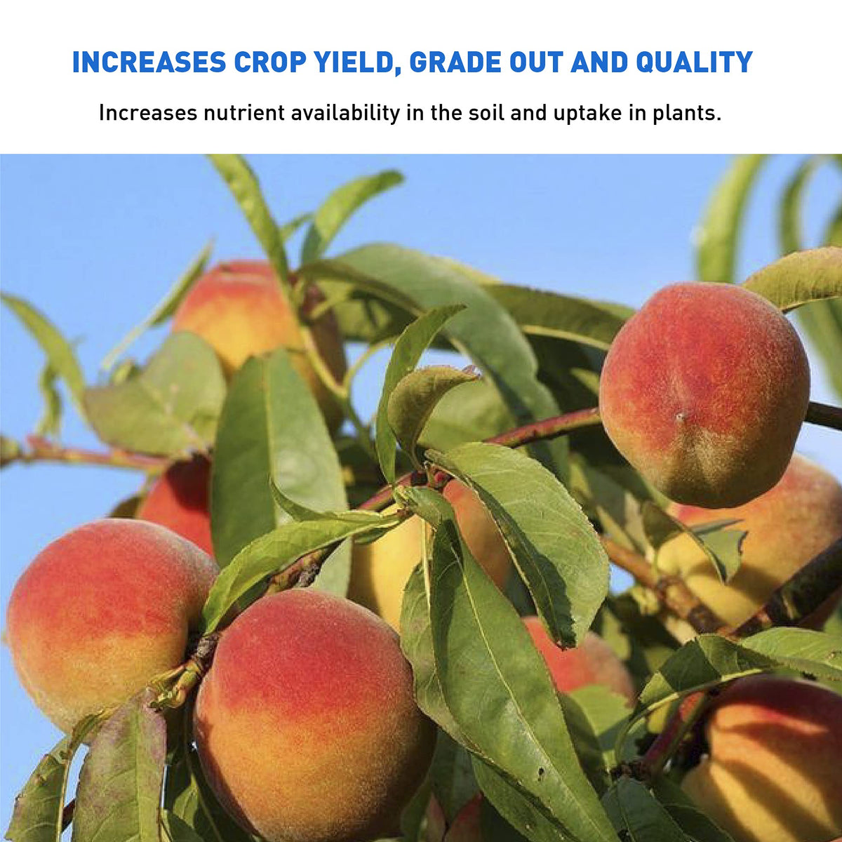 Raw Supply AZOMITE can be applied with a spreader for even coverage.