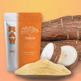 RAW Yucca Flow root zone focus showing enhanced moisture and nutrient reach to roots.