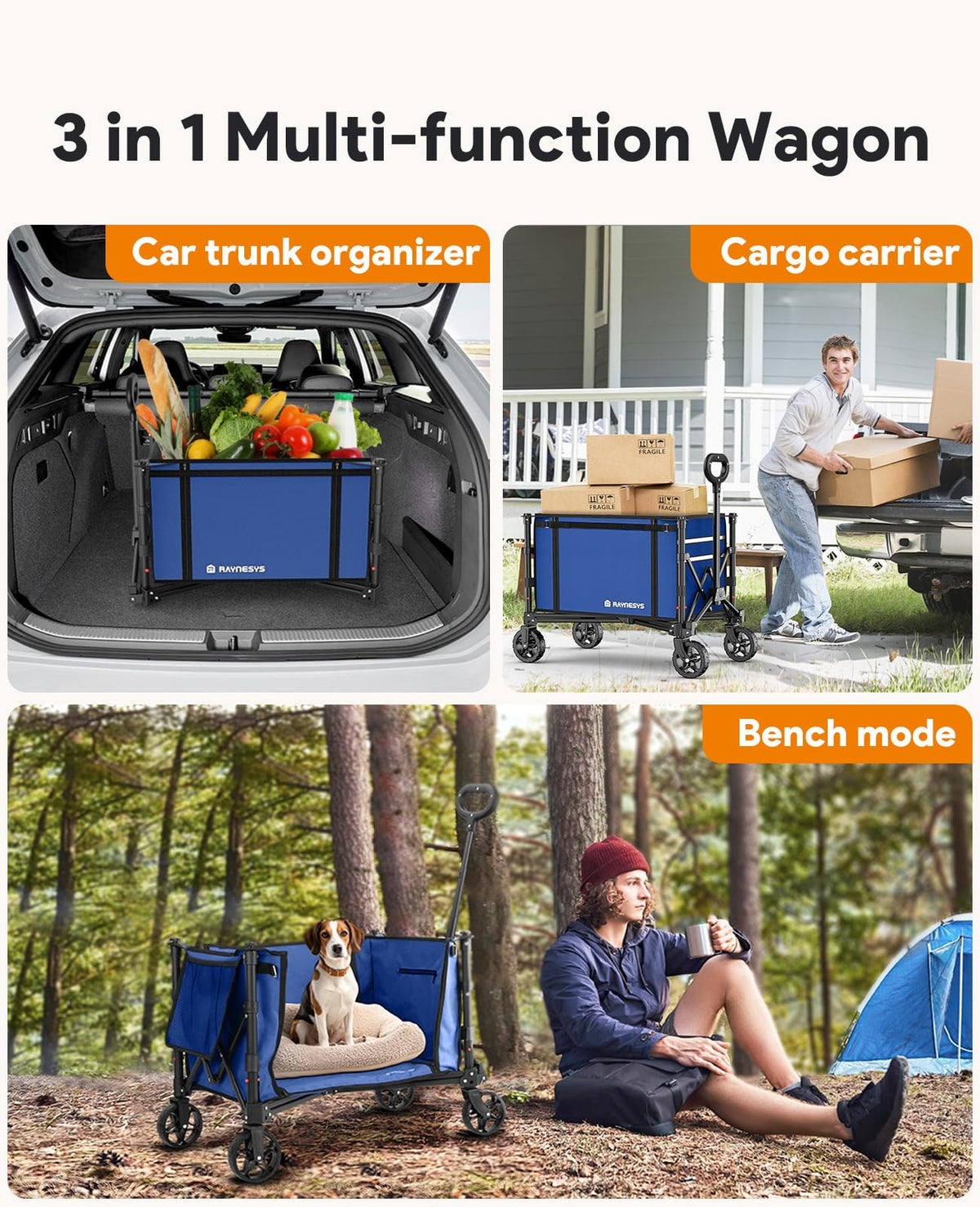 Raynesys Collapsible Wagon compact folding demonstrates easy transport and storage.