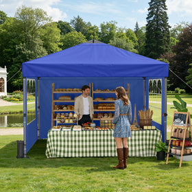 Raynesys canopy accessories including stakes and sandbags