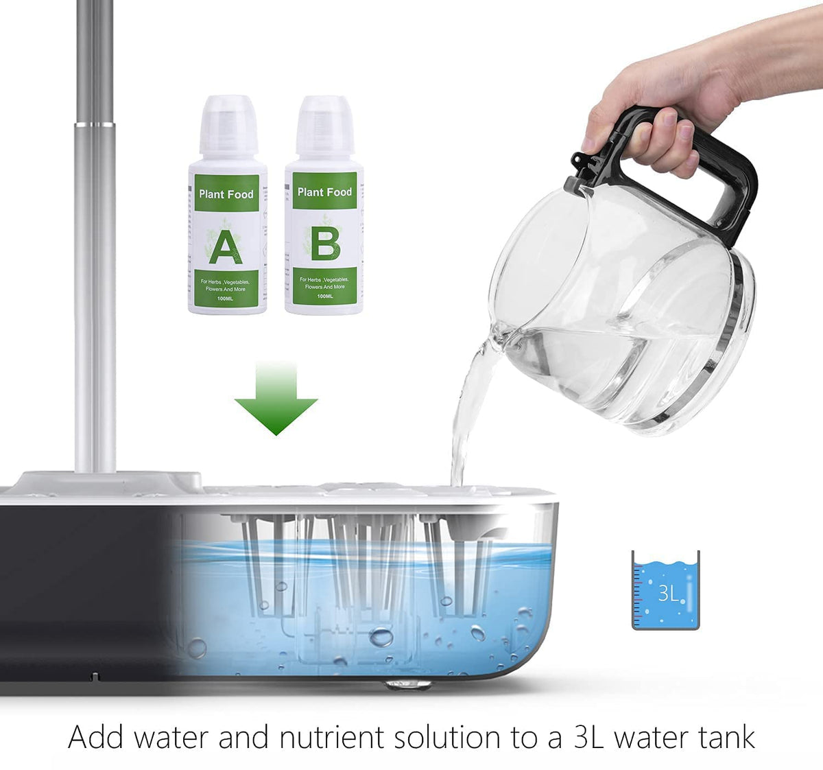 RDGDFONG A+B plant food formulation supports robust root growth and foliage