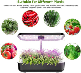 RDGDFONG indoor garden kit helps you grow vegetables and herbs at home