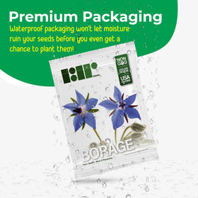 RDR Seeds borage attracts beneficial insects to the garden.