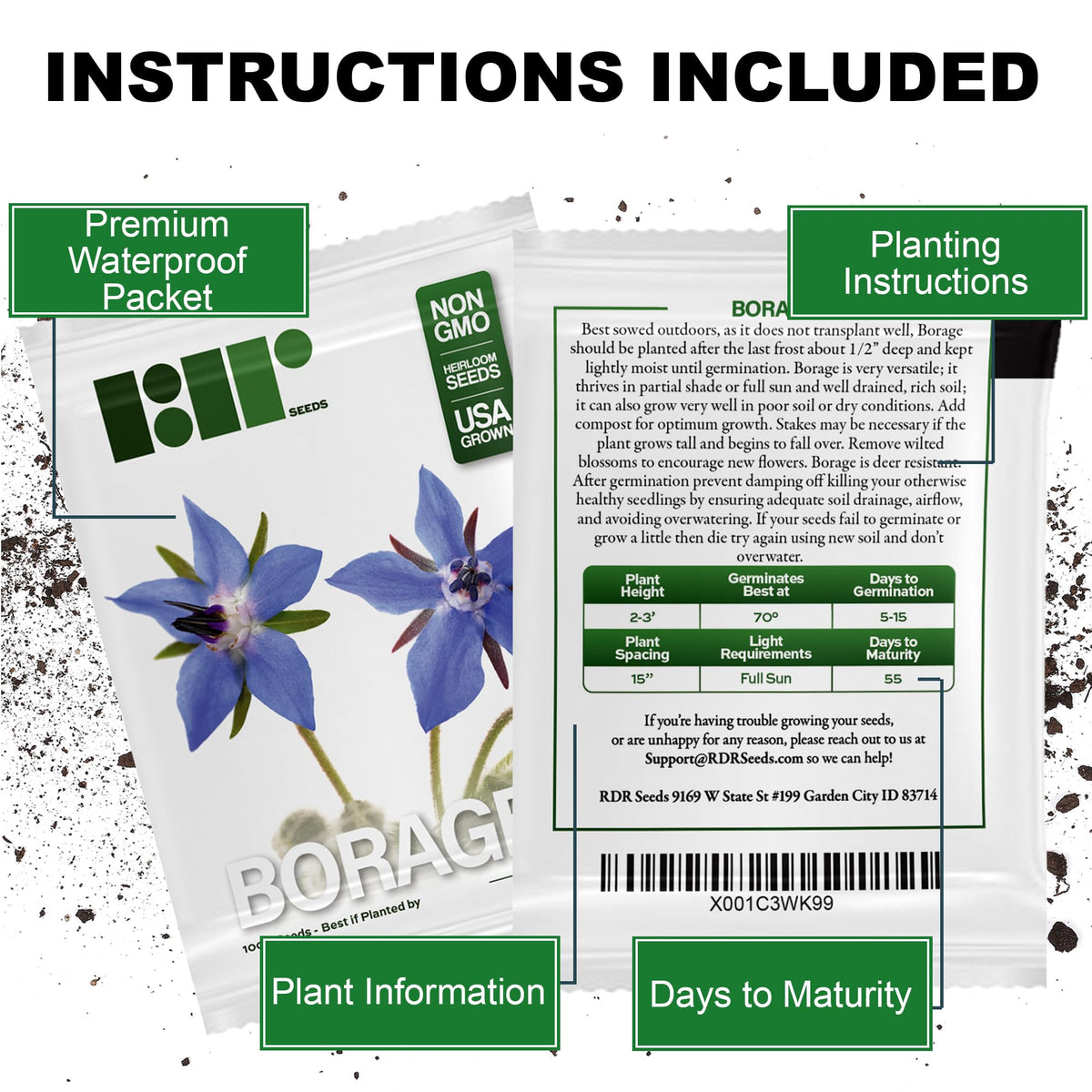 RDR Seeds borage grows 24-36 inches tall for vertical interest.
