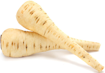 RDR Seeds Harris Model parsnip packaging preserves seed freshness for long-term planting.