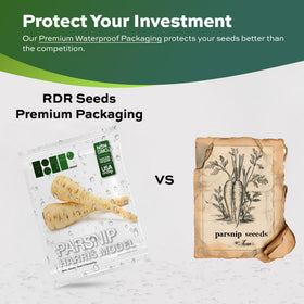 Harris Model parsnip uniform roots indicate easy, precise harvesting.