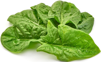RDR Seeds heirloom Viroflay spinach seeds pack ready for planting yields tender greens.