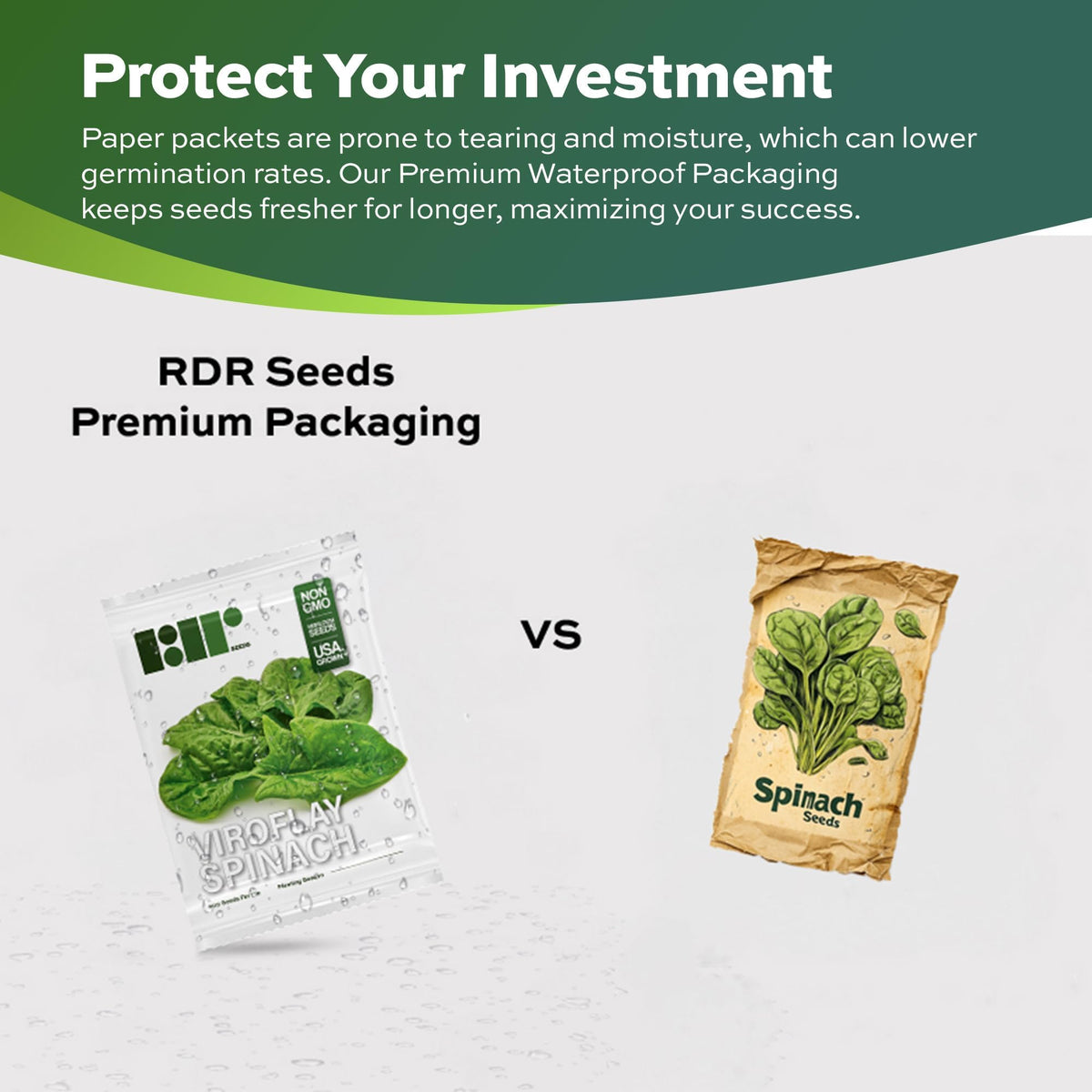 RDR Seeds USA-grown non-GMO spinach seeds lead to fresh garden harvest.