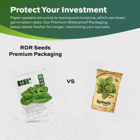 RDR Seeds USA-grown non-GMO spinach seeds lead to fresh garden harvest.