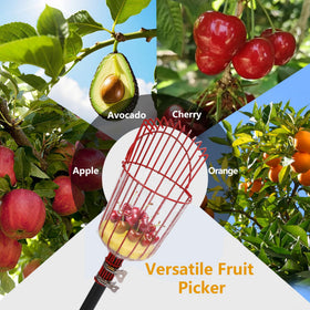 RDSXIVE large basket with foam pad cushions harvested fruit