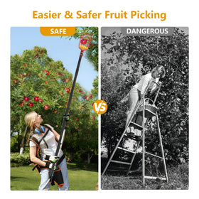 RDSXIVE protective film keeps fruit from slipping during pickup
