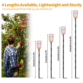 RDSXIVE versatile tool for apples, pears, citrus and more