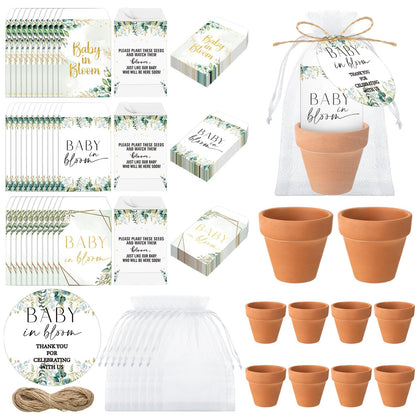 Reallnaive Baby in Bloom terracotta pot with drainage for healthy watering.