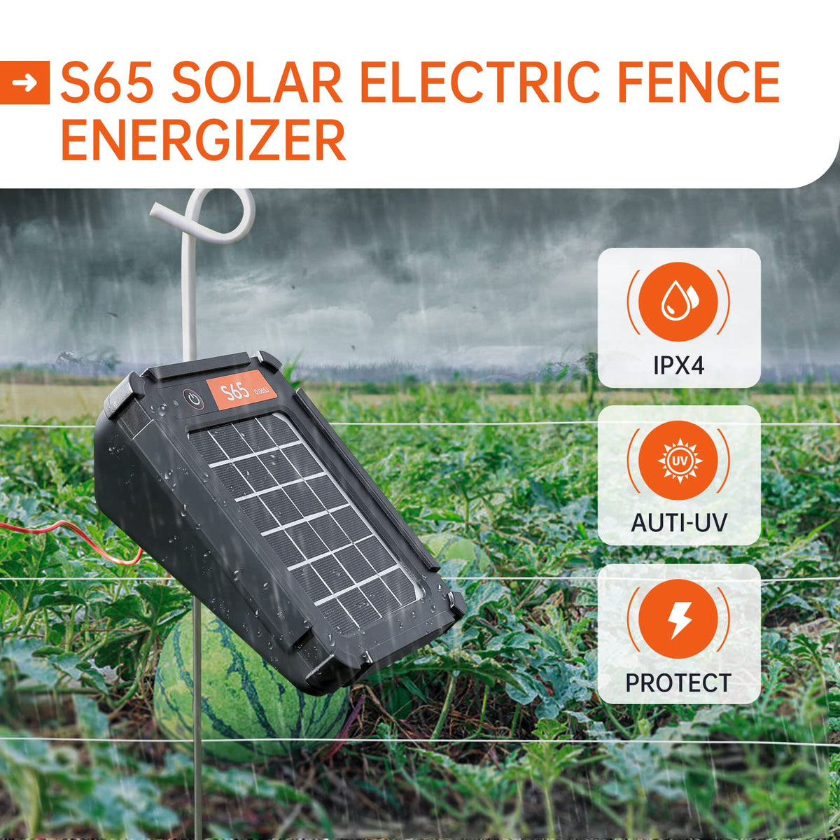 Realpoultry S65 solar panel setup captures daylight charging for continuous protection.