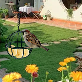 Rebecca Online outdoor bird watching feeder near a window.