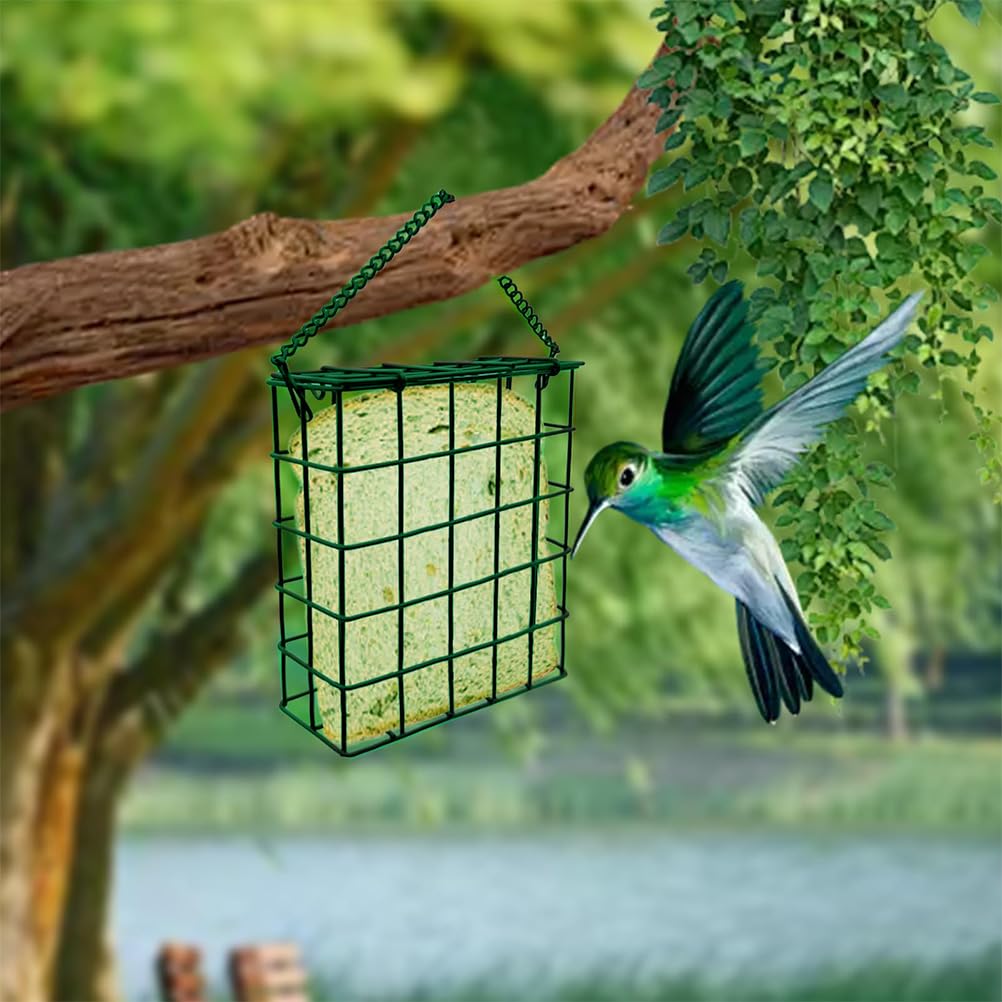 Rebecca Online suet feeder holding a standard suet cake in green