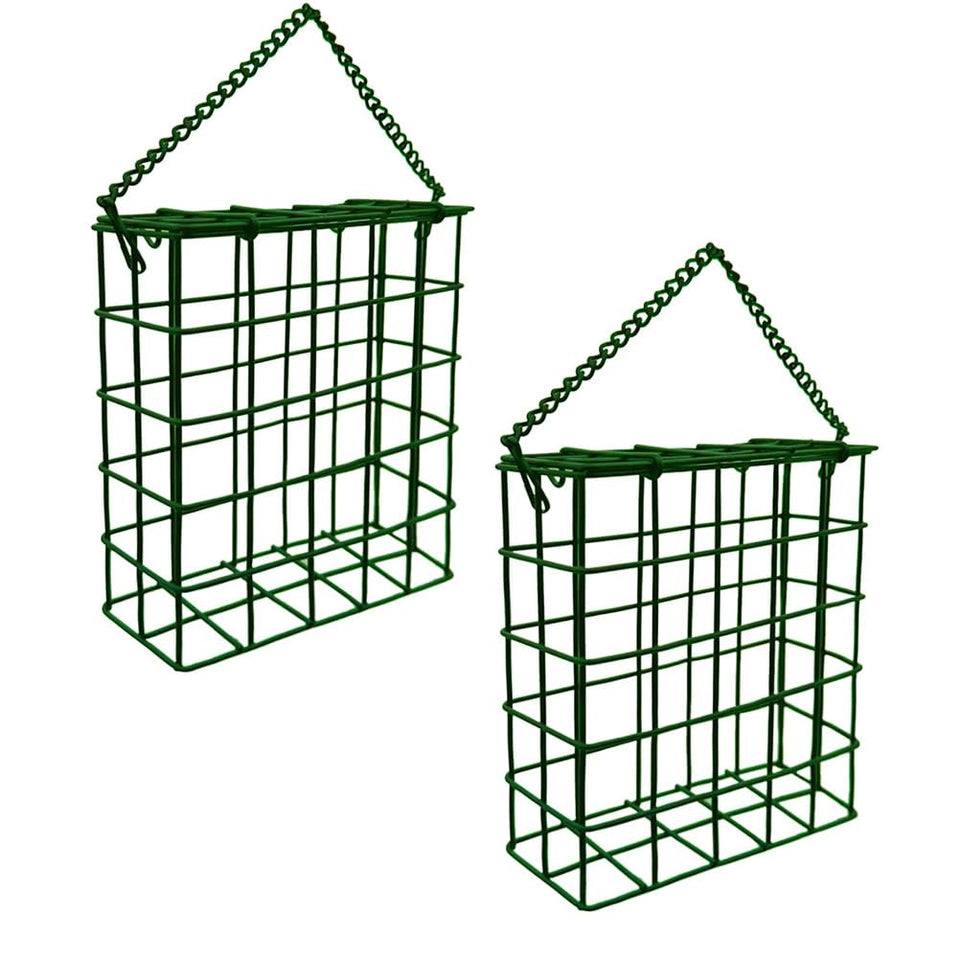 Rebecca Online suet cake bird feeder hanging in green attracts songbirds and woodpeckers