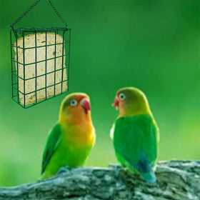 Rebecca Online green suet cake bird feeder placed in an outdoor garden setting