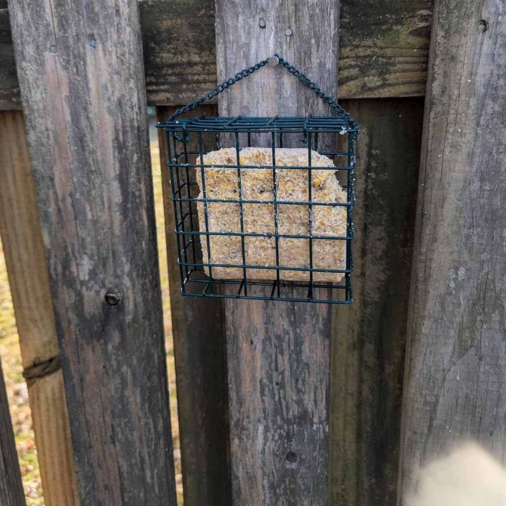 Rebecca Online hanging feeder demonstrates versatile mounting options for gardens