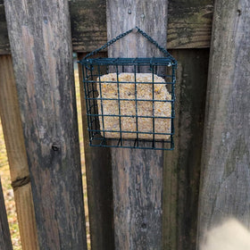 Rebecca Online hanging feeder demonstrates versatile mounting options for gardens