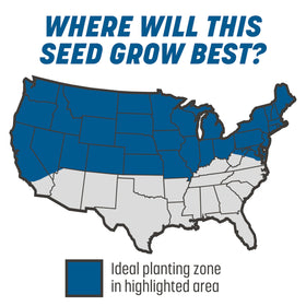 The Rebels seed mix demonstrates durable grass performance in mixed light