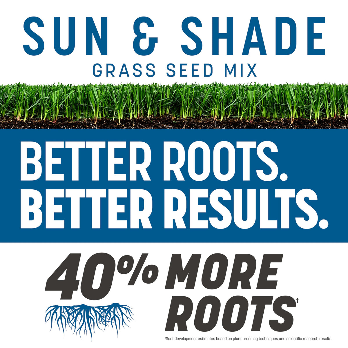 The Rebels tall fescue roots show dense, strong growth