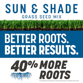 The Rebels tall fescue roots show dense, strong growth