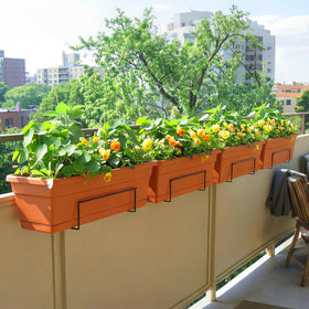 Redbaker vertical garden-ready brackets enhance small spaces with stylish plant displays