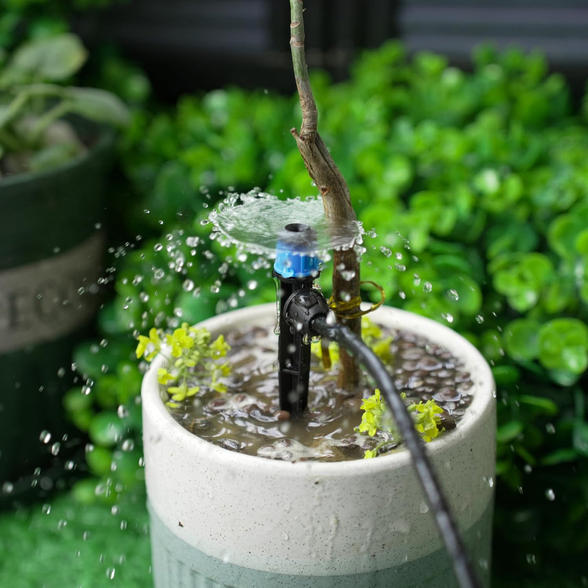 RedChili irrigation for trees and shrubs supports healthy hydration.