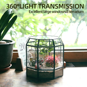 Redhugo dining-table display terrarium as an elegant centerpiece