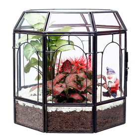 Redhugo garden tools included for setup and maintenance of your terrarium