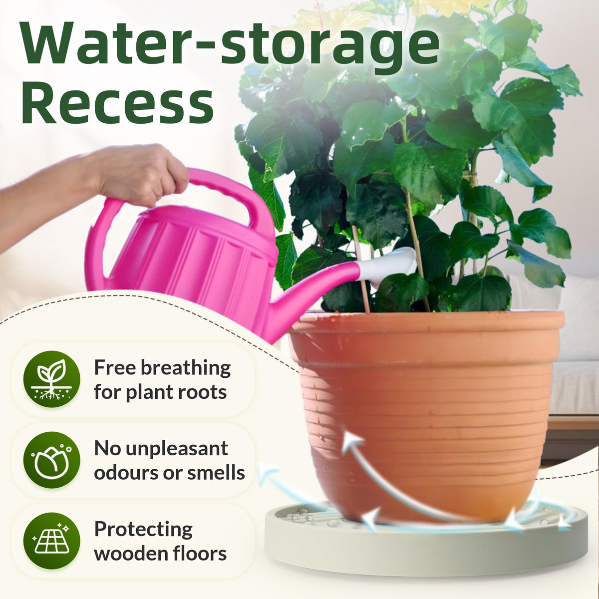 REDHUGO 10-inch plant caddy used indoors and outdoors for stability