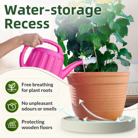 REDHUGO 10-inch plant caddy used indoors and outdoors for stability