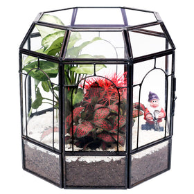 Redhugo large glass terrarium centerpiece, perfect for showcasing succulents and air plants