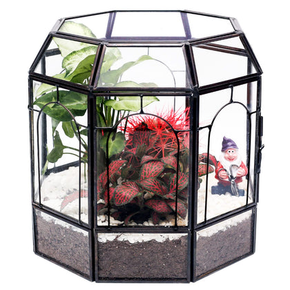 Redhugo large glass terrarium centerpiece, perfect for showcasing succulents and air plants