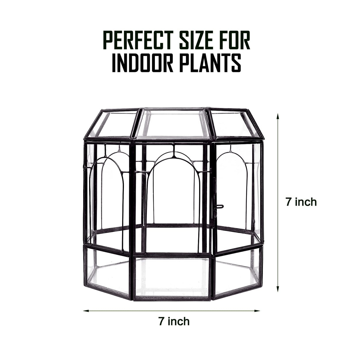Redhugo side-door terrarium with ventilation for easy plant care