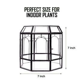 Redhugo side-door terrarium with ventilation for easy plant care