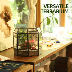 Redhugo terrarium wedding card box display option