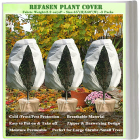 Refasen frost cover draped over a shrub shields from cold temperatures