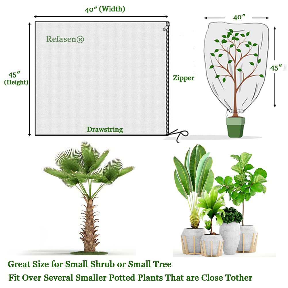 Refasen plant cover protecting small tree buds from frost and wind