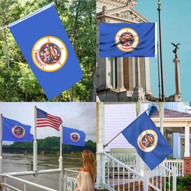 REIDFERR Minnesota flag 3x5 fits standard flagpoles
