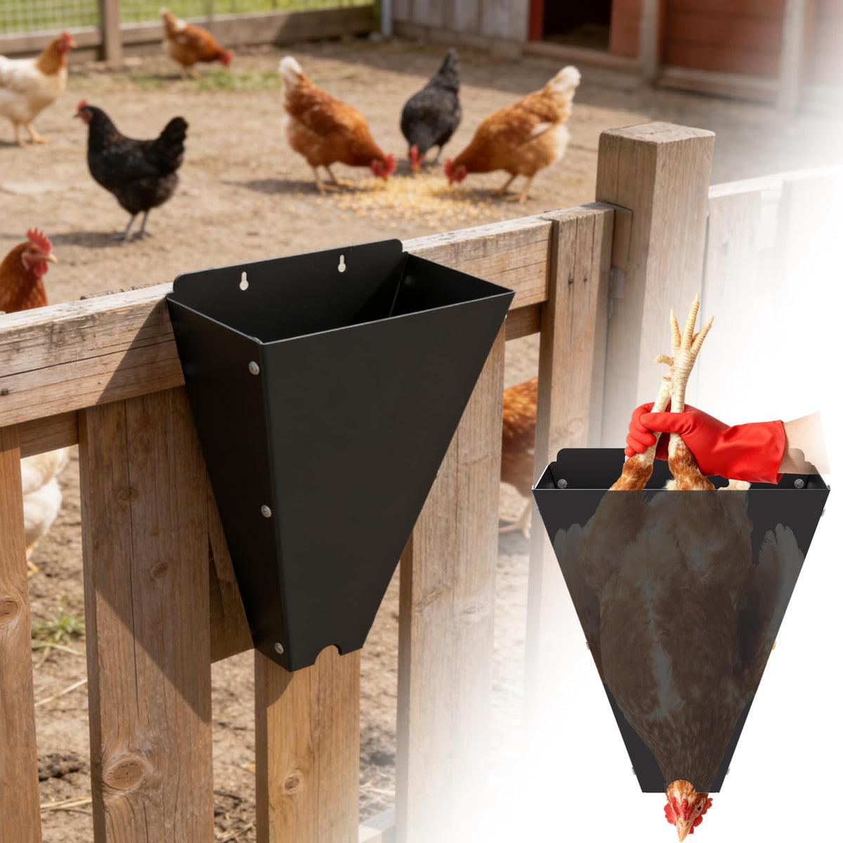 REILEIHODE chicken cone 10lbs with flat-back design for cleaner, safer butchering