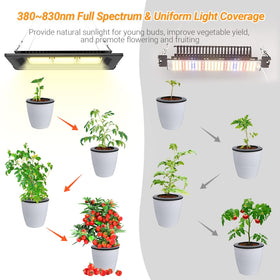 Relassy IP67 waterproof outdoor light withstands rain and snow.