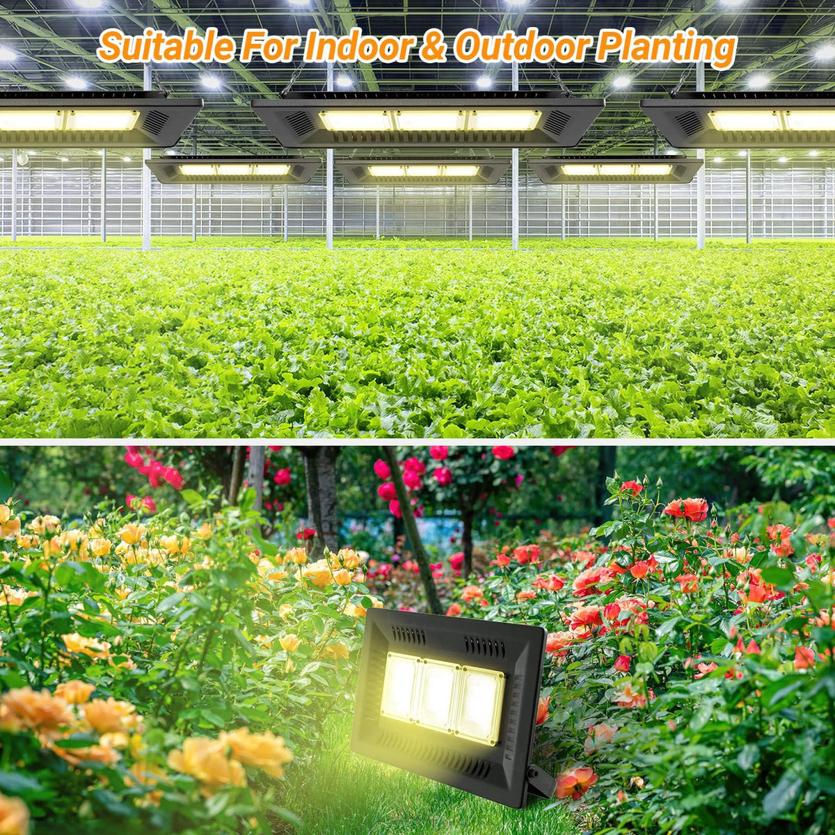 Relassy ideal for seedling and vegetative growth indoors.