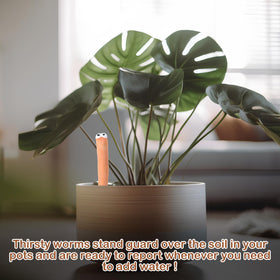 Relaxweex 6-inch ceramic sensor placed in pot near roots.