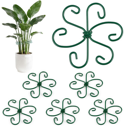 RELBRO Monstera support with round loop around stems for upright growth
